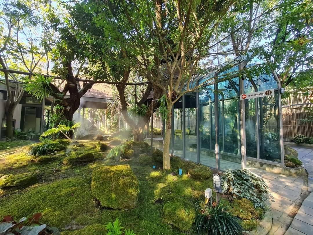 Treescape Resort Chiangmai Chiang Mai Extérieur photo